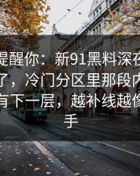 别说没提醒你：新91黑料深夜那波讨论太顶了，冷门分区里那段内容像在提醒还有下一层，越补线越像还有后手