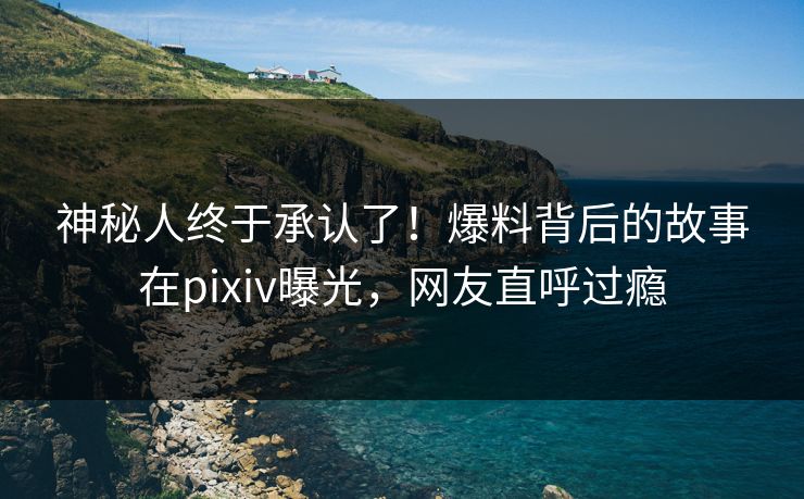 神秘人终于承认了！爆料背后的故事在pixiv曝光，网友直呼过瘾