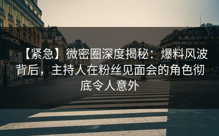 【紧急】微密圈深度揭秘：爆料风波背后，主持人在粉丝见面会的角色彻底令人意外