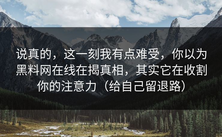 说真的，这一刻我有点难受，你以为黑料网在线在揭真相，其实它在收割你的注意力（给自己留退路）