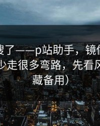别再瞎搜了——p站助手，镜像到底是什么？少走很多弯路，先看风险（收藏备用）