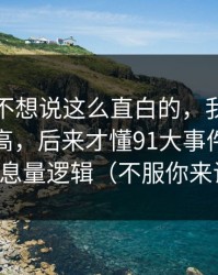 我本来不想说这么直白的，我以为是我要求高，后来才懂91大事件的封面信息量逻辑（不服你来试）