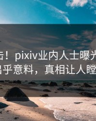 本周直击！pixiv业内人士曝光pzhan，出乎意料，真相让人瞠目