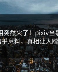 最新真相突然火了！pixiv当事人居然出乎意料，真相让人瞠目