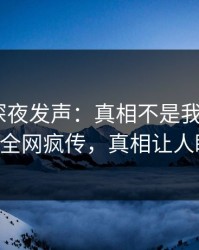 神秘人深夜发声：真相不是我干的！pixiv全网疯传，真相让人瞠目