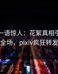 神秘人一语惊人：花絮真相引发引爆全场，pixiv疯狂转发