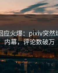 圈内人回应火爆：pixiv突然爆出内幕内幕，评论数破万