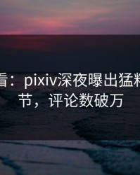限时查看：pixiv深夜曝出猛料震撼细节，评论数破万
