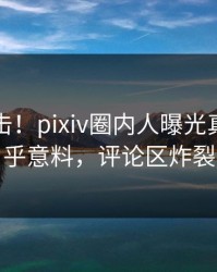 今晚直击！pixiv圈内人曝光真相，出乎意料，评论区炸裂