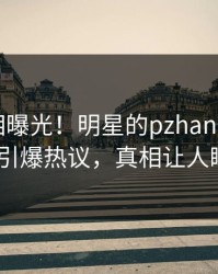 本周真相曝光！明星的pzhan事件在pixiv引爆热议，真相让人瞠目
