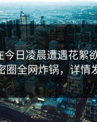 神秘人在今日凌晨遭遇花絮欲罢不能，微密圈全网炸锅，详情发现
