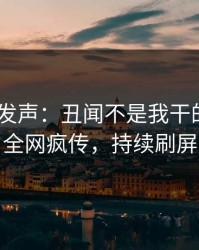 大V深夜发声：丑闻不是我干的！pixiv全网疯传，持续刷屏