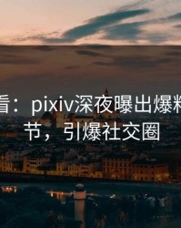 限时查看：pixiv深夜曝出爆料震撼细节，引爆社交圈
