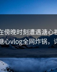 圈内人在傍晚时刻遭遇溏心视频热血沸腾，糖心vlog全网炸锅，详情速看
