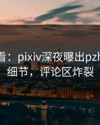 限时查看：pixiv深夜曝出pzhan震撼细节，评论区炸裂