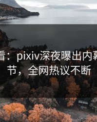 限时查看：pixiv深夜曝出内幕震撼细节，全网热议不断