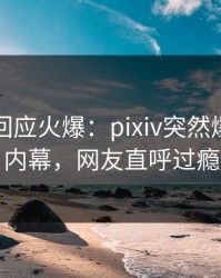 神秘人回应火爆：pixiv突然爆出花絮内幕，网友直呼过瘾