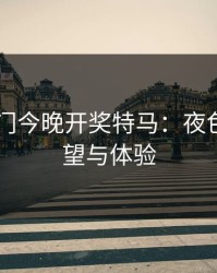 2023澳门今晚开奖特马：夜色中的希望与体验
