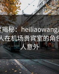 黑料深度揭秘：heiliaowang风波背后，神秘人在机场贵宾室的角色异常令人意外