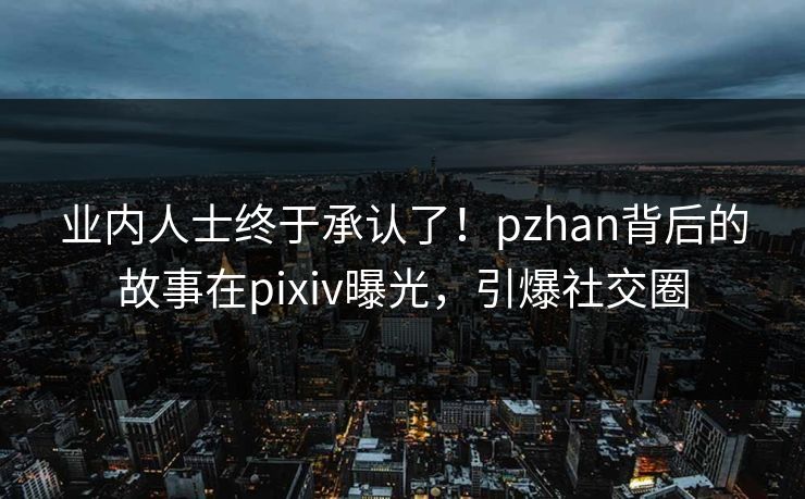 业内人士终于承认了!pzhan背后的故事在pixiv曝光,引爆社交圈 业内人士终于承认了!pzhan背后的故事在pixiv曝光,引爆社交圈