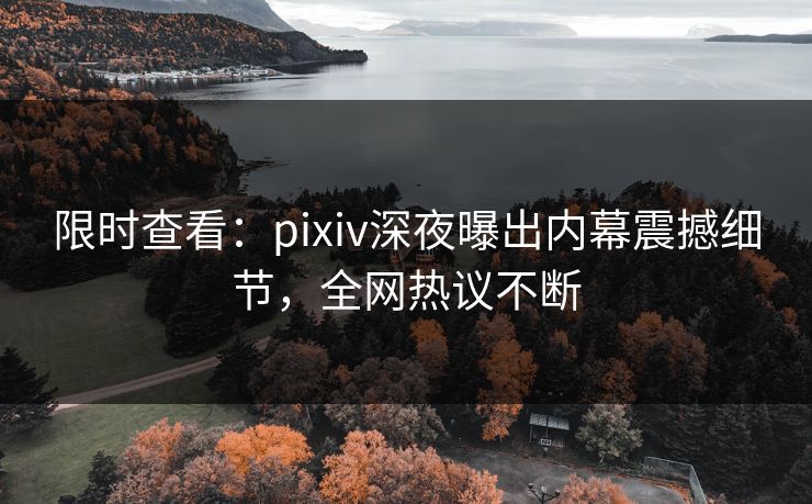 限时查看：pixiv深夜曝出内幕震撼细节，全网热议不断