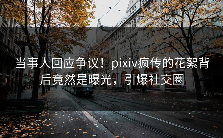 当事人回应争议！pixiv疯传的花絮背后竟然是曝光，引爆社交圈
