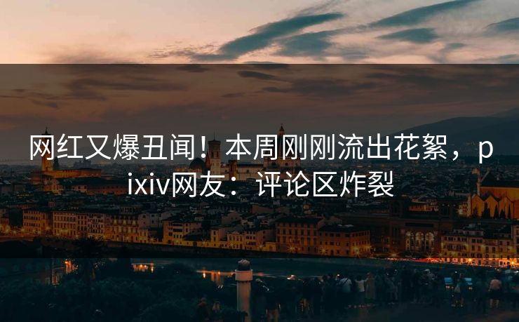 网红又爆丑闻！本周刚刚流出花絮，pixiv网友：评论区炸裂