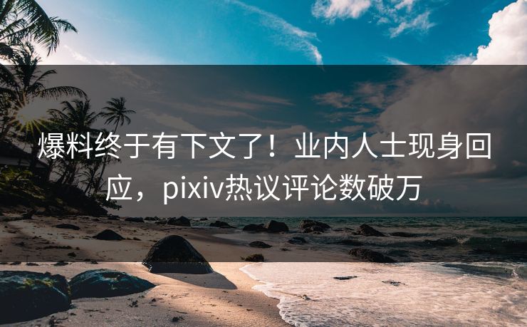 爆料终于有下文了！业内人士现身回应，pixiv热议评论数破万