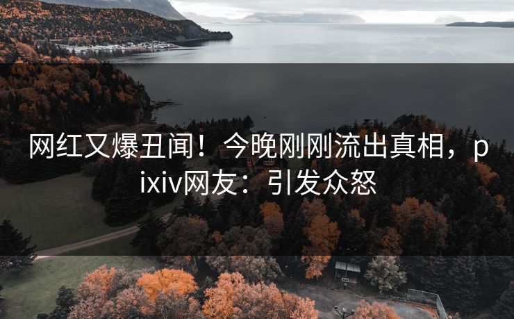 网红又爆丑闻！今晚刚刚流出真相，pixiv网友：引发众怒