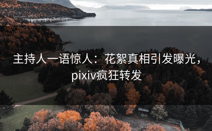 主持人一语惊人：花絮真相引发曝光，pixiv疯狂转发