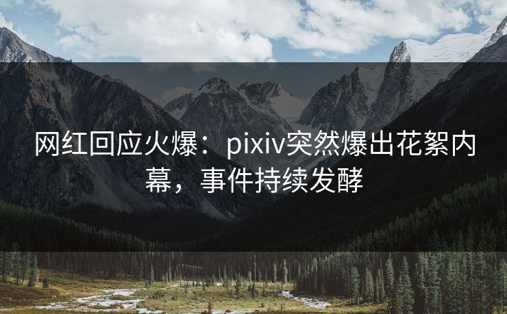 网红回应火爆：pixiv突然爆出花絮内幕，事件持续发酵