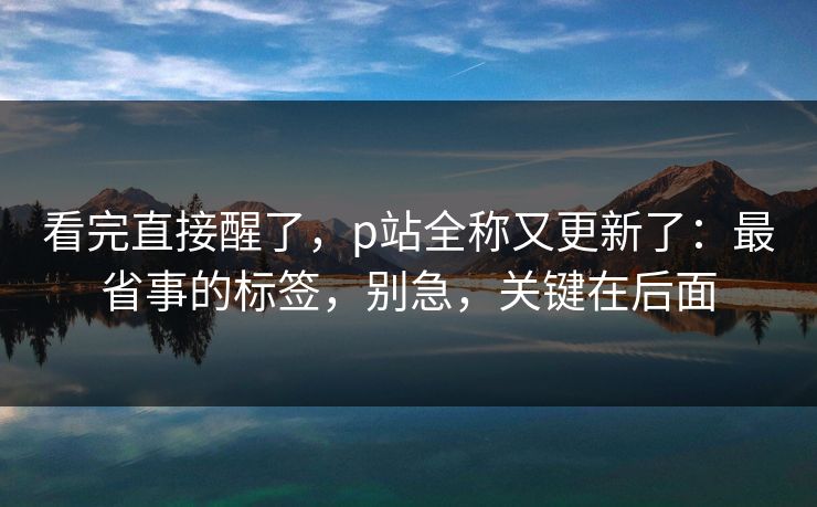 看完直接醒了，p站全称又更新了：最省事的标签，别急，关键在后面
