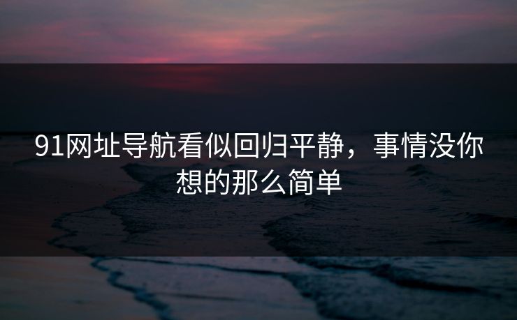 91网址导航看似回归平静，事情没你想的那么简单
